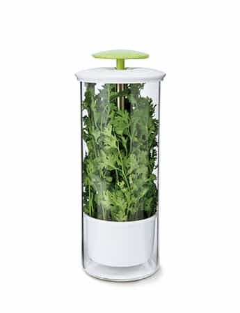 Tall Storage Breathable Glass Herb Keeper #9110001